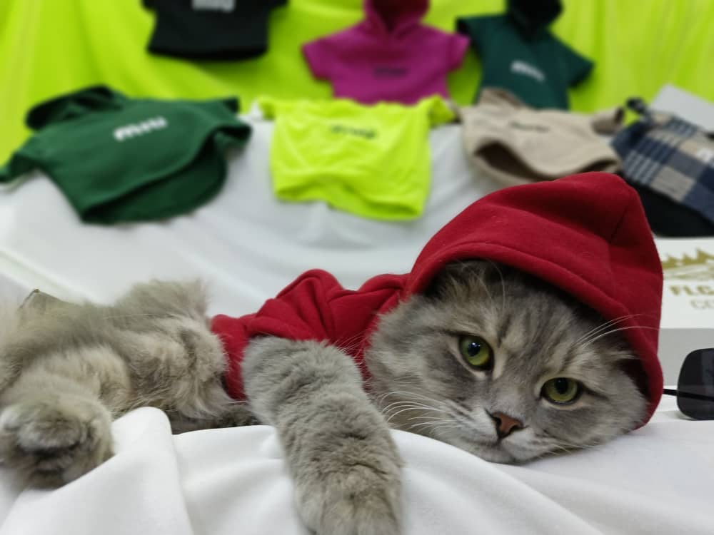 HOODIE POUR CHAT